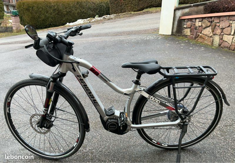 Vends vélo assistance électrique (image 1)