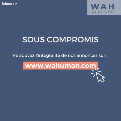 https://img.leboncoin.fr/api/v1/lbcpb1/images/e6/6d/ff/e66dffbd22e16ea85d14bb7ac349cb003dce79ce.jpg?rule=ad-image