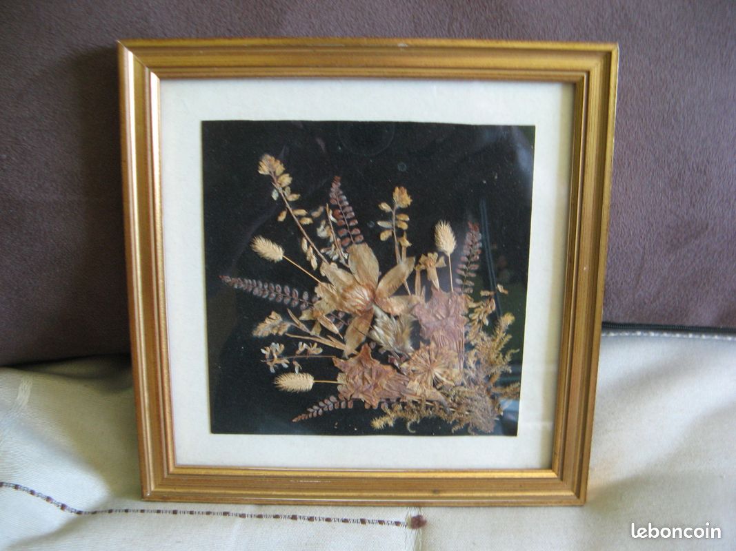 Tableau fleurs séchées sous plexi cadre doré 20 x 20 cm (image 1)