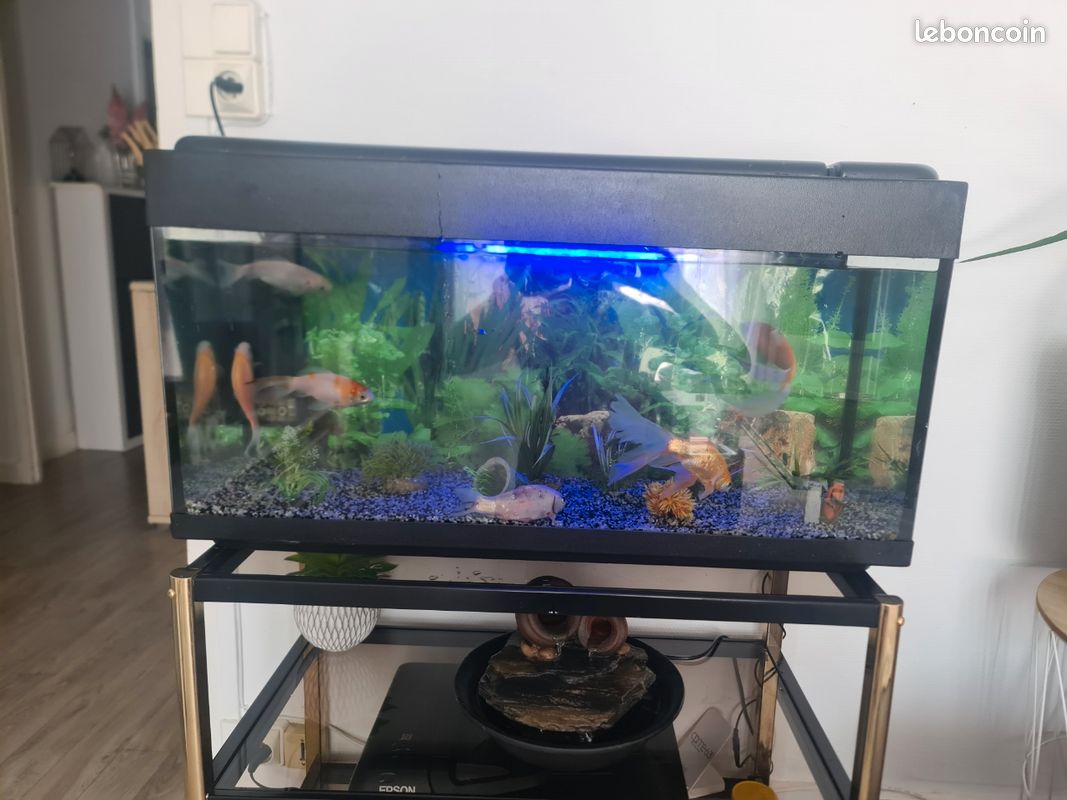 Aquarium (image 2)
