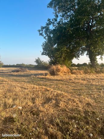 Terrain constructible viabilisé