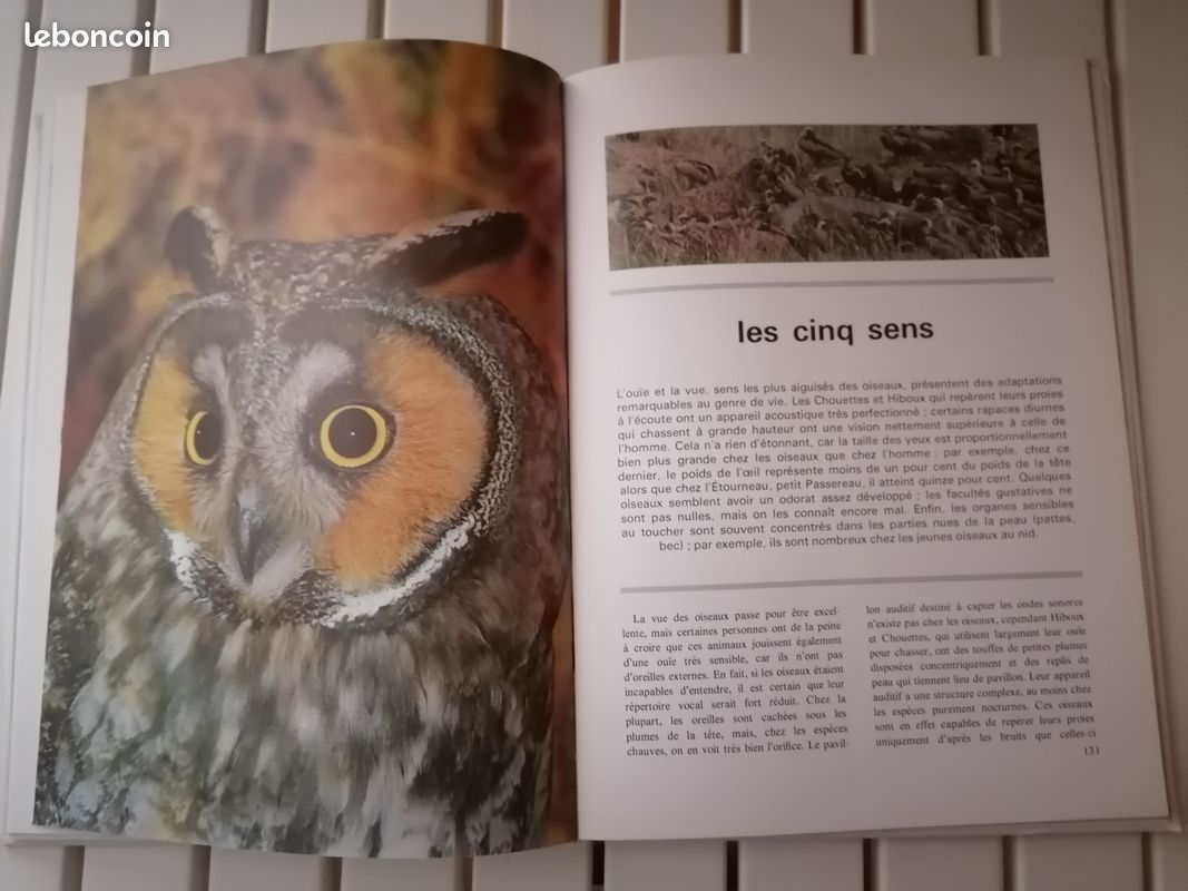 Le monde merveilleux des oiseaux (image 7)