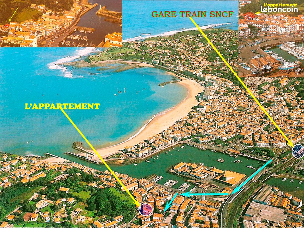 T2 COEUR VILLE par semaines (image 3)