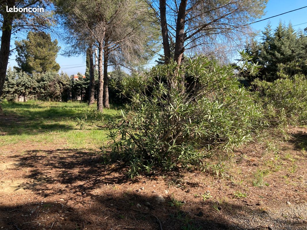 Vente terrain constructible hors lotissement · à Montesquieu-des-Albères · 185 000 €
