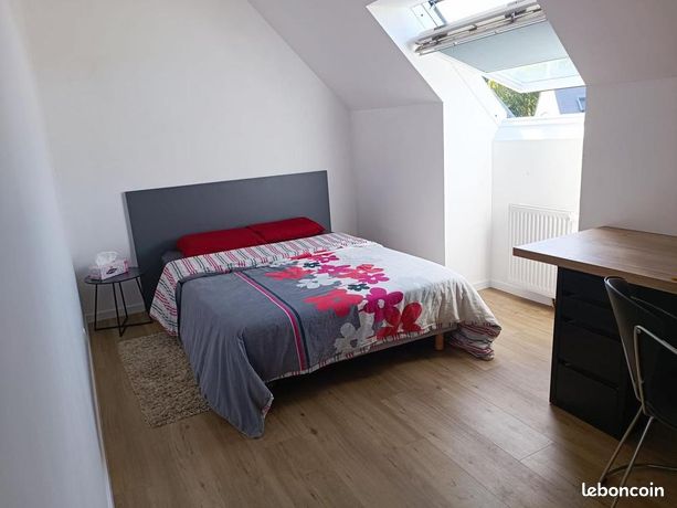 Chambre 1 pièce 20 m²
