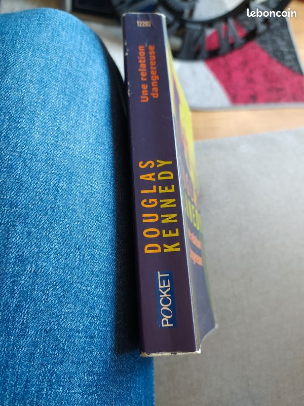 Douglas Kennedy une relation dangereuse (image 4)