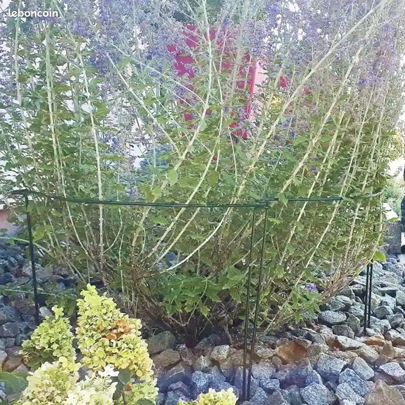 Behidiruch Lot de 10 piquets de support pour plantes, 4 mm d'épaisseur, 61 cm, demi-ronds en métal, pour pivoine, tomate, hortensia, rose, intérieur et extérieur (25,4 cm de large x 61 cm