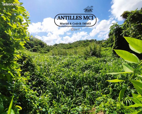 Terrain 19972 m² RIVIERE-SALEE