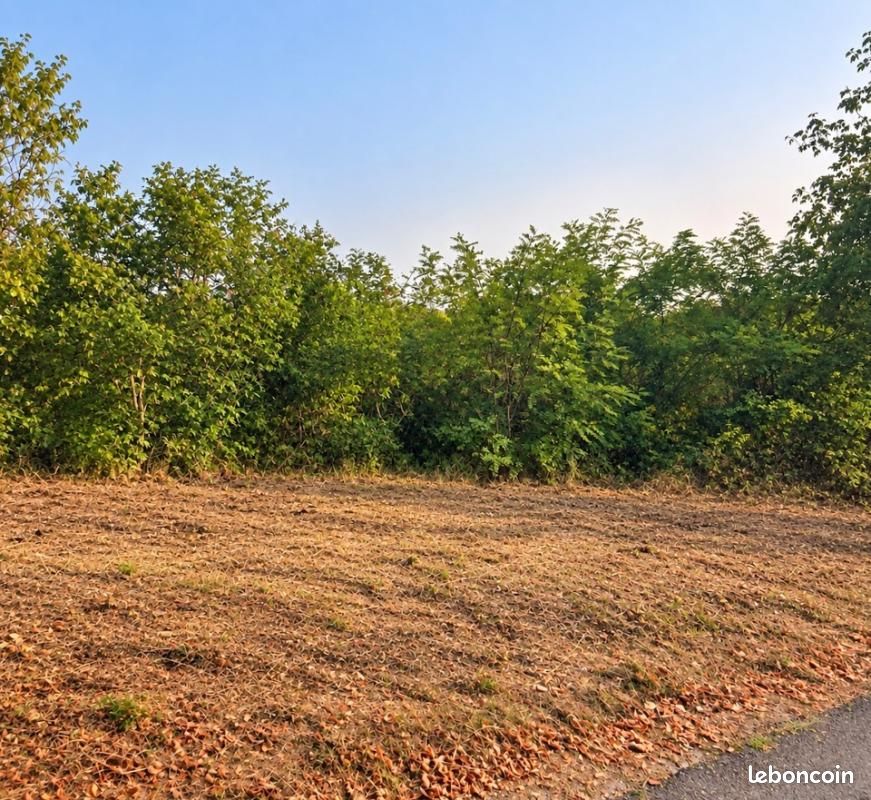 Terrain 550 m² · à Avensan · 105 000 €