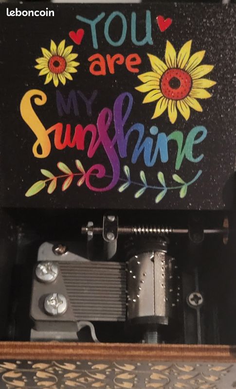 Boîte à Musique à Manivelle Mini Portable Style Vintage Rose Gravé à La