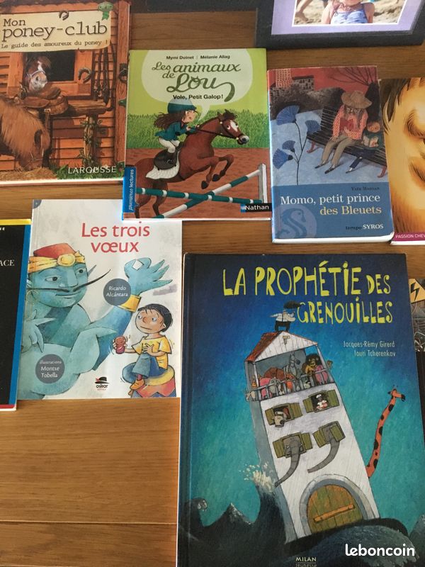 Romans Livres niveau CM1 (image 2)