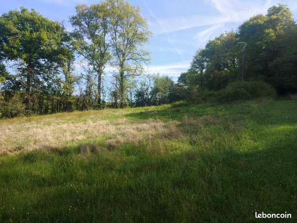 Terrain 1344 m² SAINT-PARDOUX-LA-RIVIERE