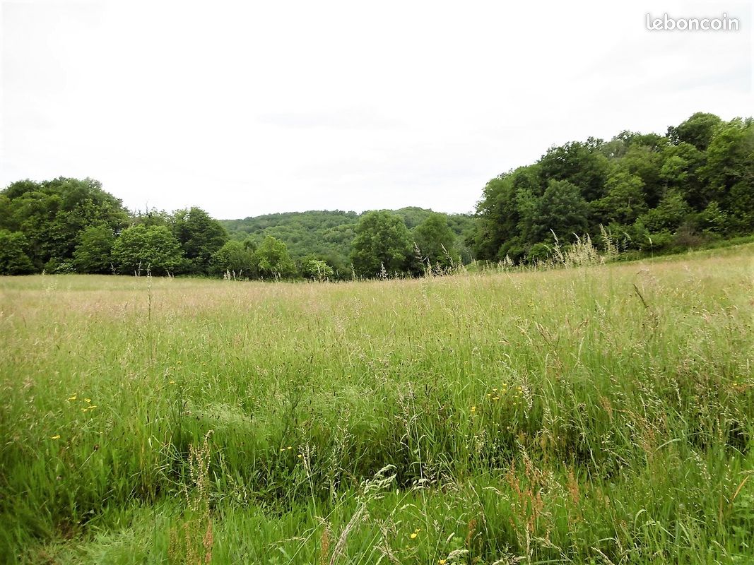 Terrain 2400 m² · à Vignols · 2 400 m² · 27 000 €