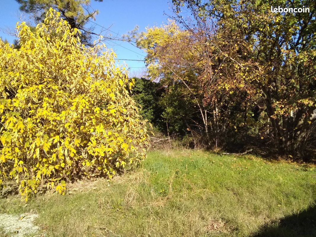 Terrain constructible · à Vaison-la-Romaine · 114 900 €