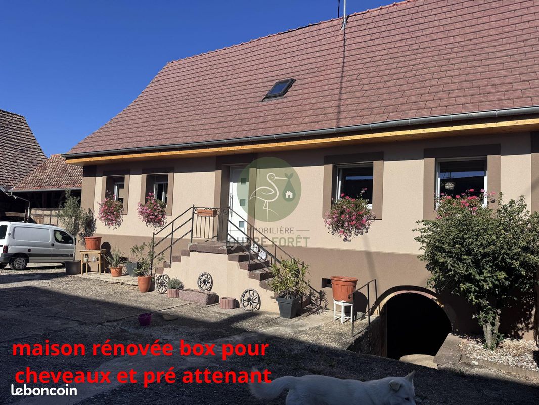 Maison 6 pièces 166 m² · à Merkwiller-Pechelbronn · 166 m² · 391 900 €