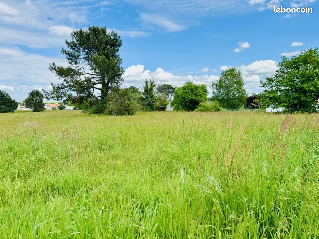 Terrain 235 m² Royan · 84 000 €