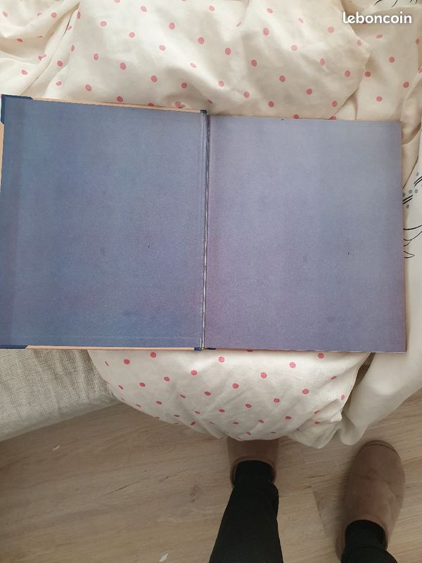 Livre secret de famille (image 3)