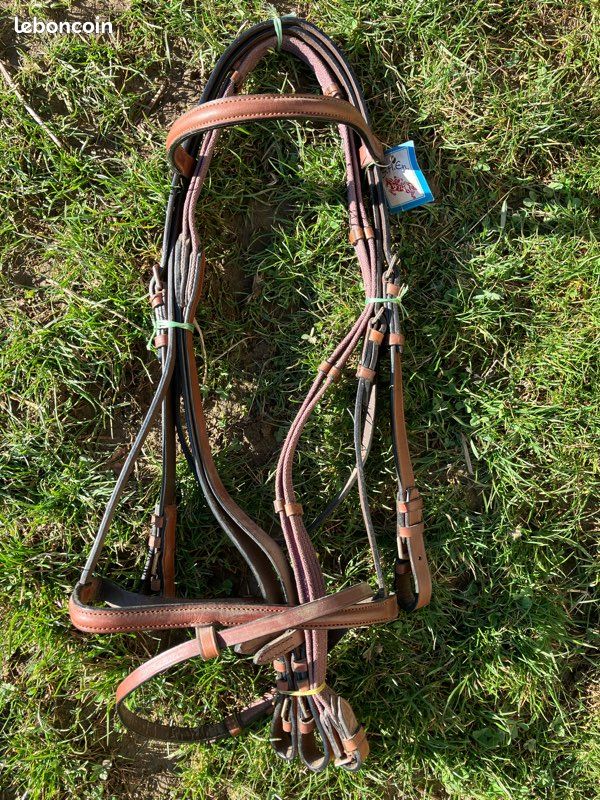 Bride Cavalerie Taille Réelle – Neuve – Équitation
