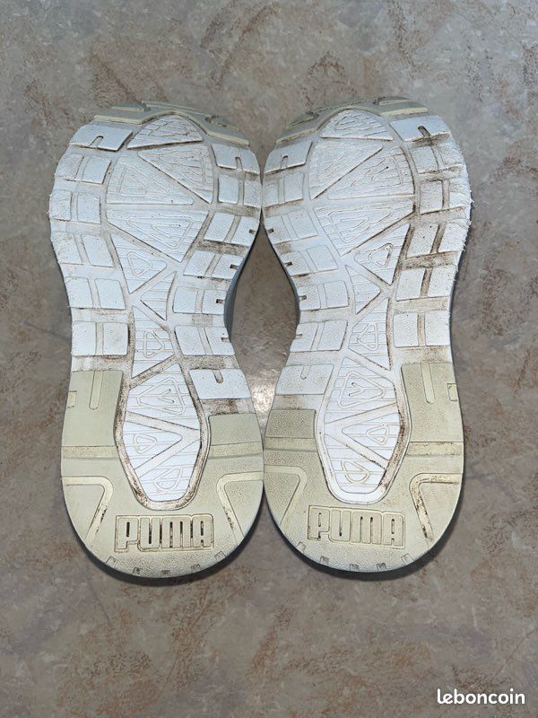 Puma (image 4)