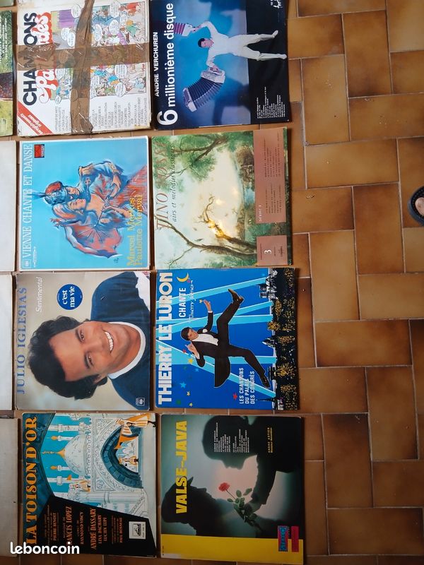 Lot de ~32 Vinyles 33 tours (Prince, Cloclo, Rock, Accordéon, Classique...) ou à l'unité (image 3)