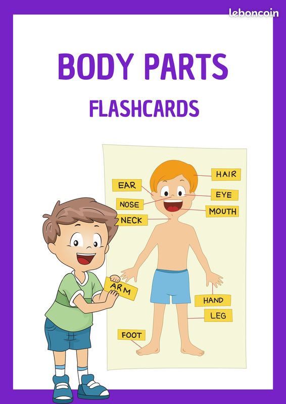 Fiches de Vocabulaire en Anglais à télécharger (image 9)