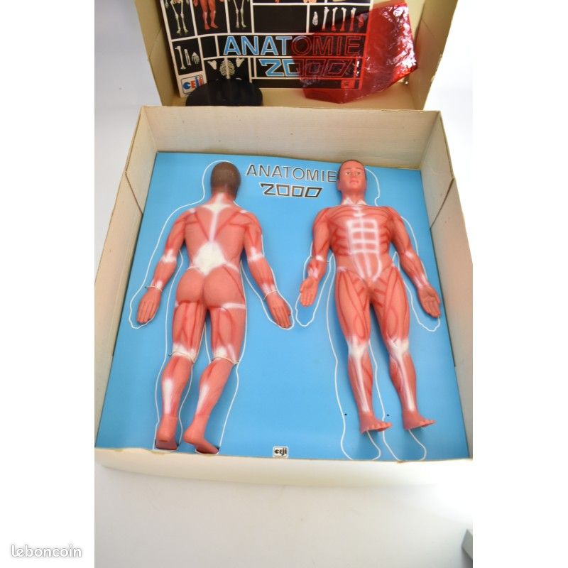 L'Anatomie du Corps Humain - un LIVRE atlas chez Macro Editions