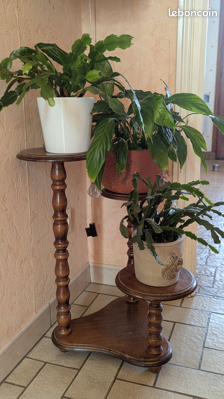 étagère à plantes (image 2)