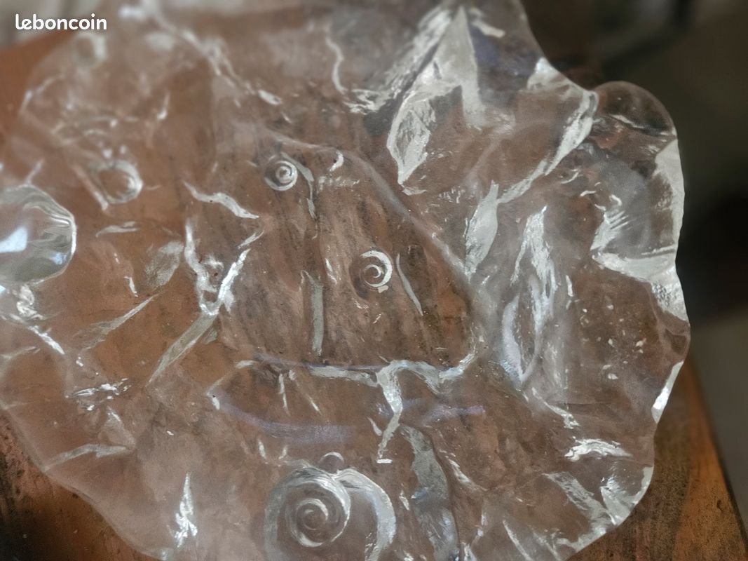 Coupe en verre jolanda coquillage (image 4)