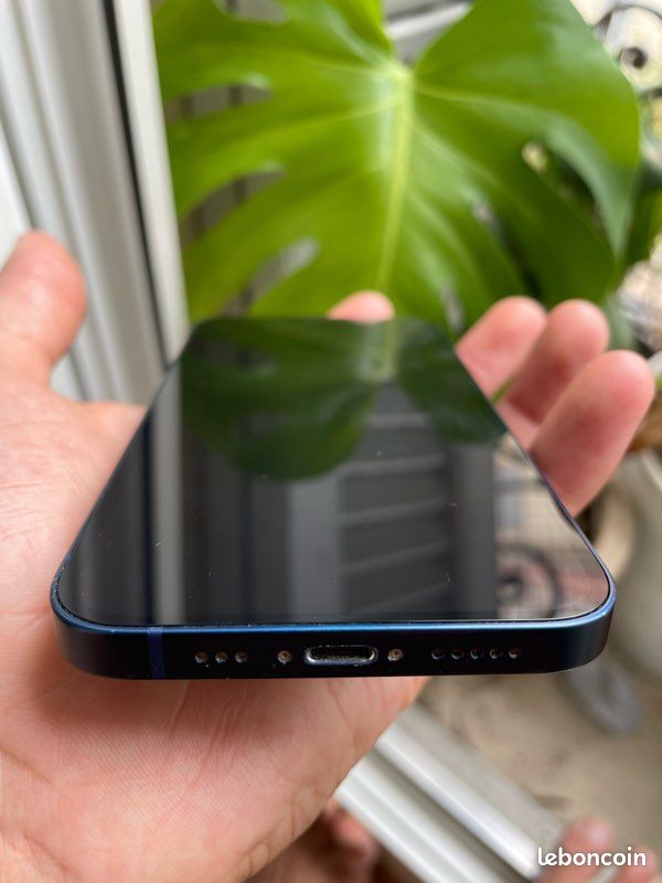 IPhone 12 (image 4)
