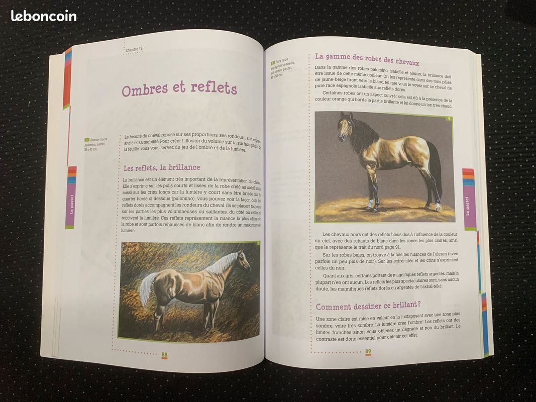 Dessiner les chevaux et les poneys - manuel (image 5)