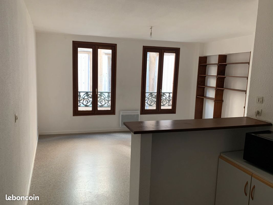 Studio Hyper centre 28 m2 - Limoges 87000 (image principale 0)