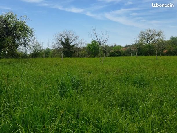 Terrain 1 600 m² Salignac Eyvigues