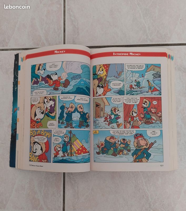 Lot 2 super picsou état satisfaisant (image 3)