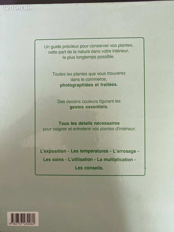 Soigner entretenir vos plantes d'intérieur (image 2)