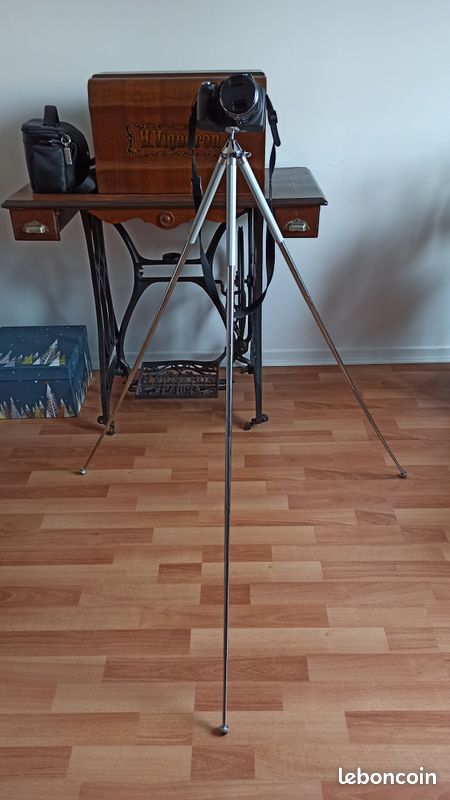 Pied photo (image 3)