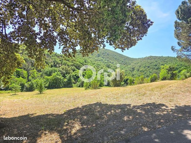 Terrain 4 553 m² Montauriol
