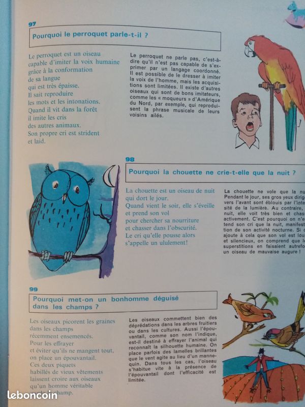 Volume 5 livres junior (évoluer en curiosité) (image 3)