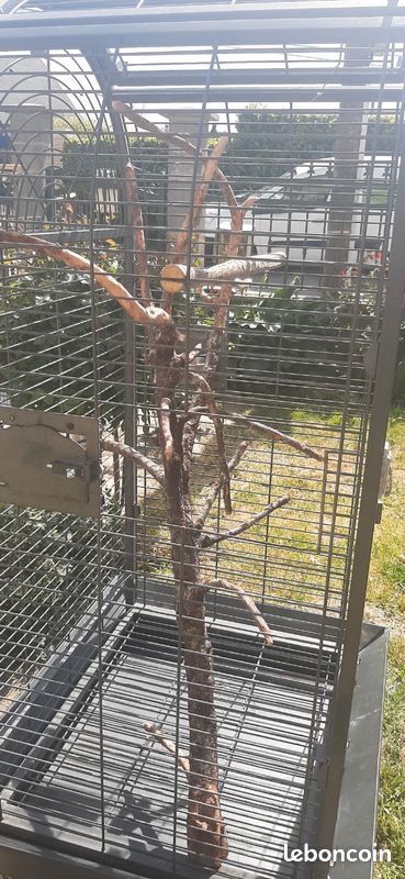 Cage pour perroquet (image 3)