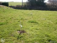 Terrain constructible · à Rémilly · 10 990 €