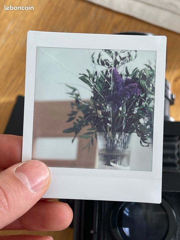 Dos Polaroid Mamiya RB67 - Photo, audio & vidéo