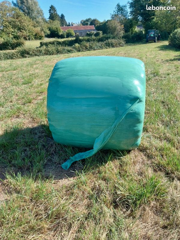 Foin (image 1)