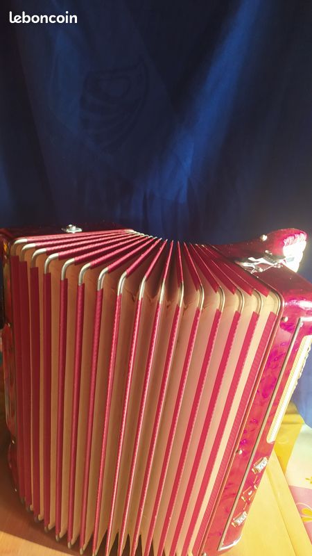 Accordéon touches piano (image 4)