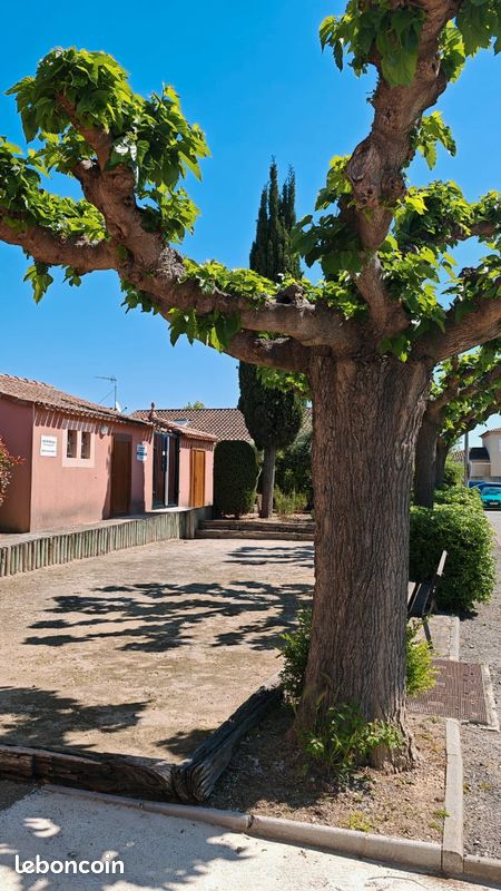 Maison 6 personnes petite Camargue (image 3)