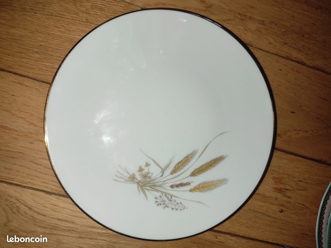 12 Assiettes porcelaine de marque couleuvre (image 1)