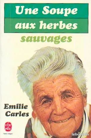 Une soupe aux herbes sauvages (image 1)