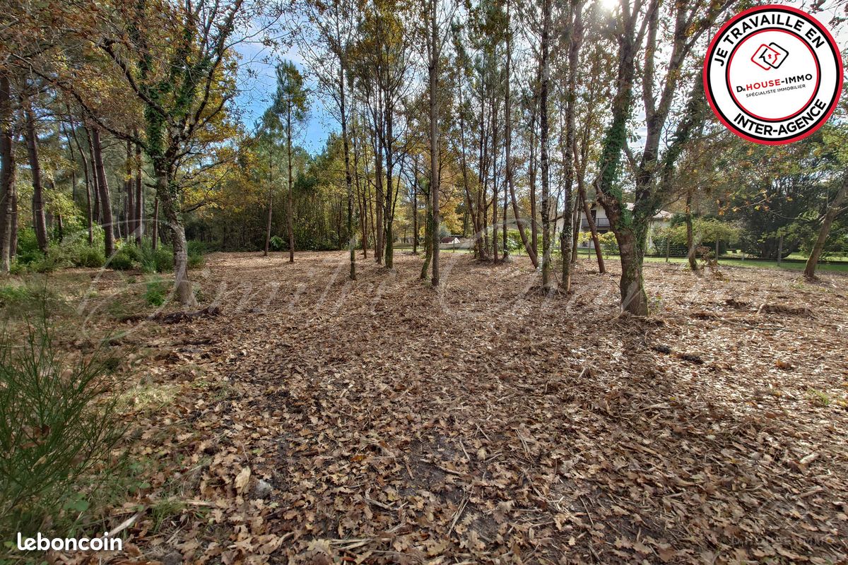 Terrain 1100 m² · à Saint-Sauveur · 1 100 m² · 59 500 €