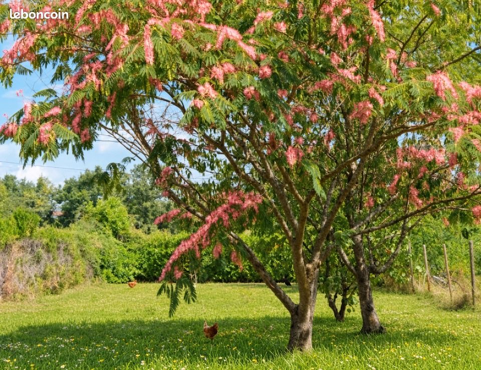 Terrain 570 m² · à Alix · 160 000 €
