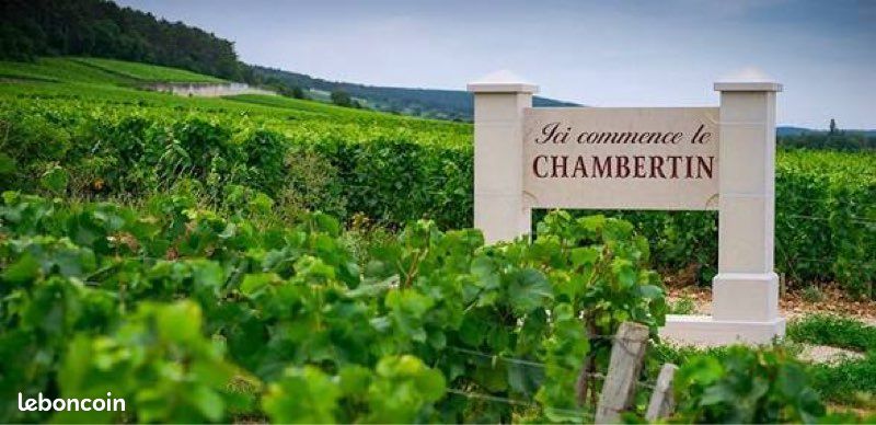 À vendre parcelle vigne gevrey-chambertin · 80 000 €