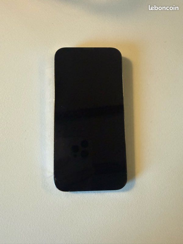 IPhone 13 Pro Max 256 Go – Bon état (image 1)