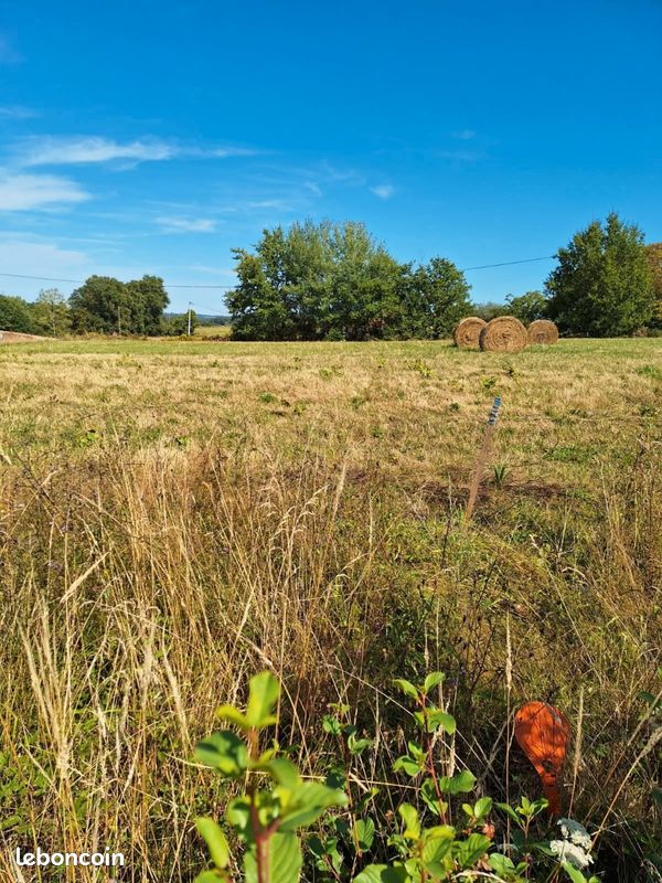 Cherche terrain agricole (image 1)